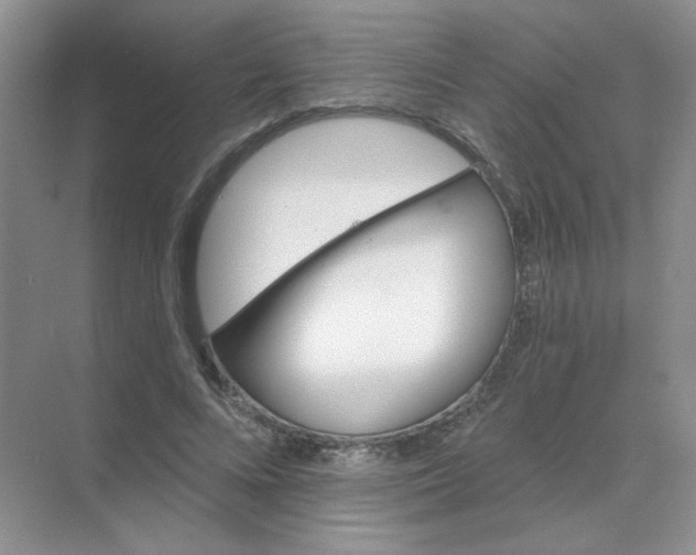 X0000068890688200605192135