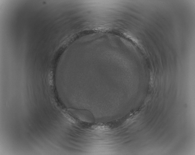 X0000068890689200605192135