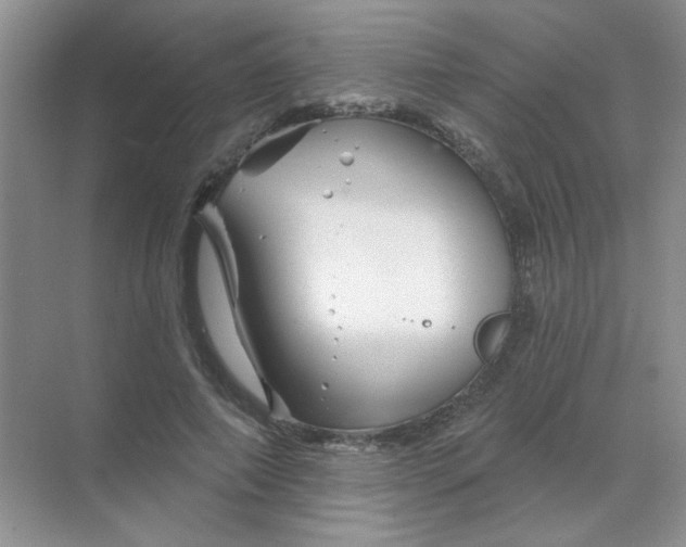 X0000068890690200605192135