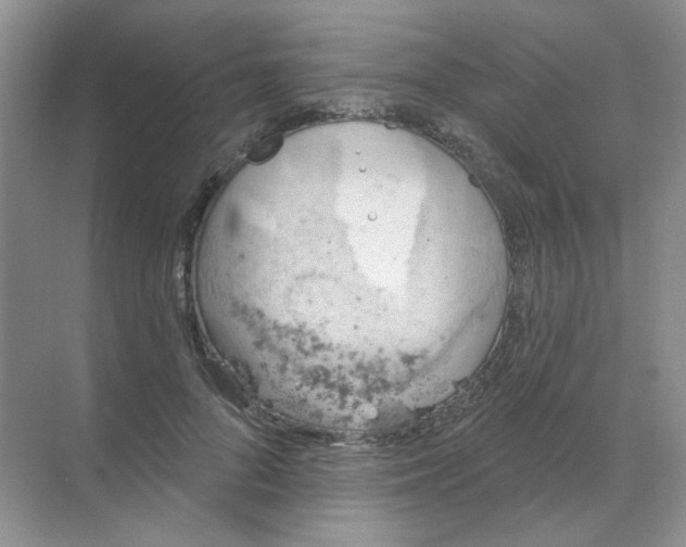 X0000068890696200605192135