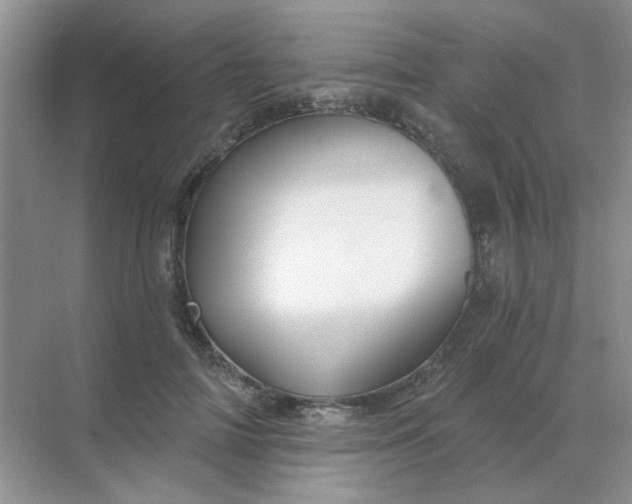 X0000068890698200605192135