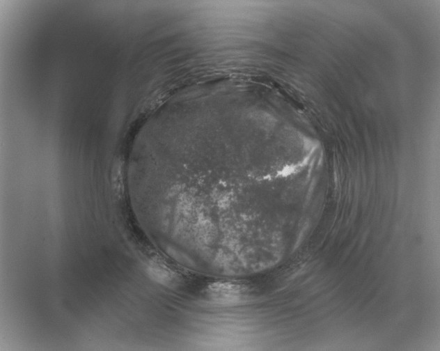 X0000068890699200605192135