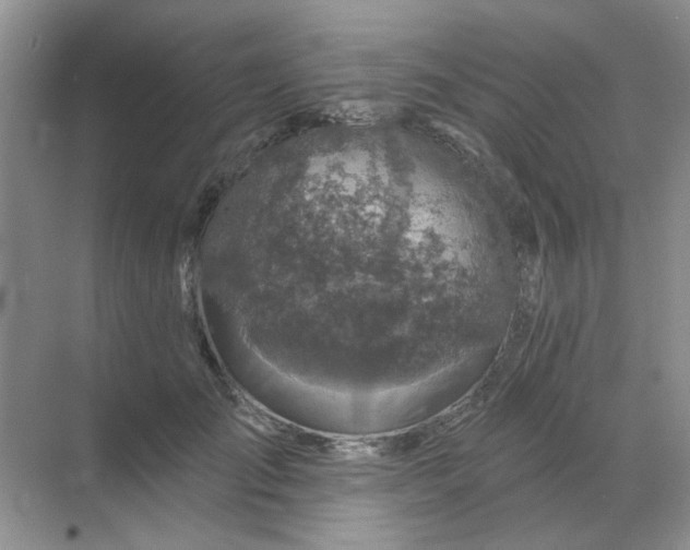 X0000068890701200605192135