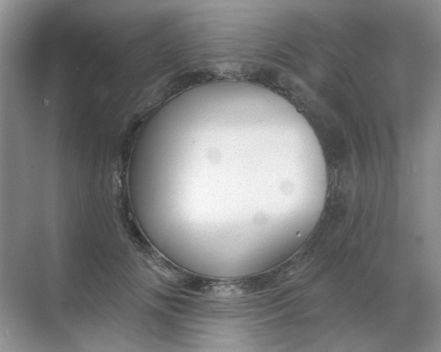 X0000068890702200605192135