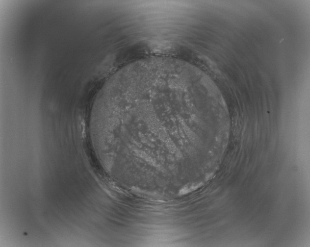 X0000068890703200605192135