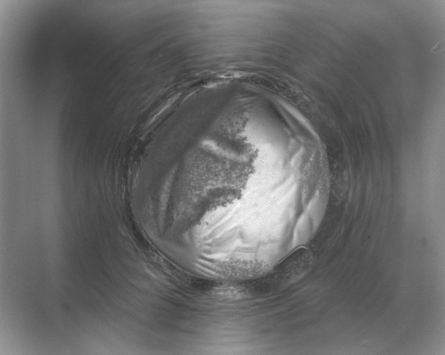 X0000068890704200605192135