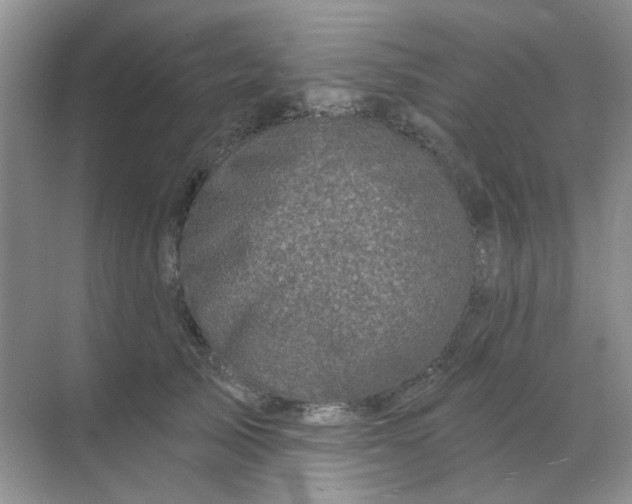 X0000068890705200605192135