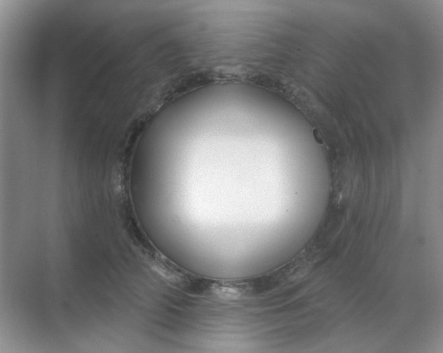 X0000068890706200605192135