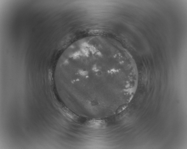 X0000068890711200605192135