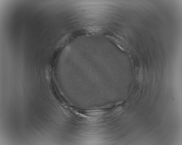 X0000068890712200605192135