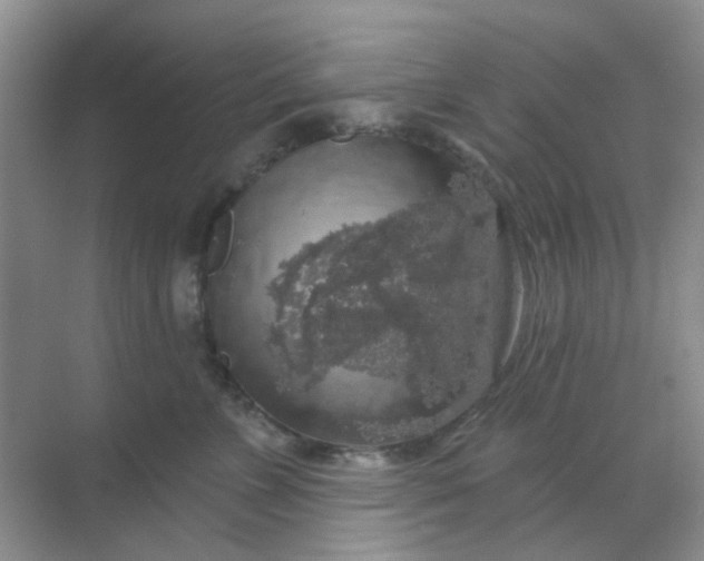 X0000068890715200605192135