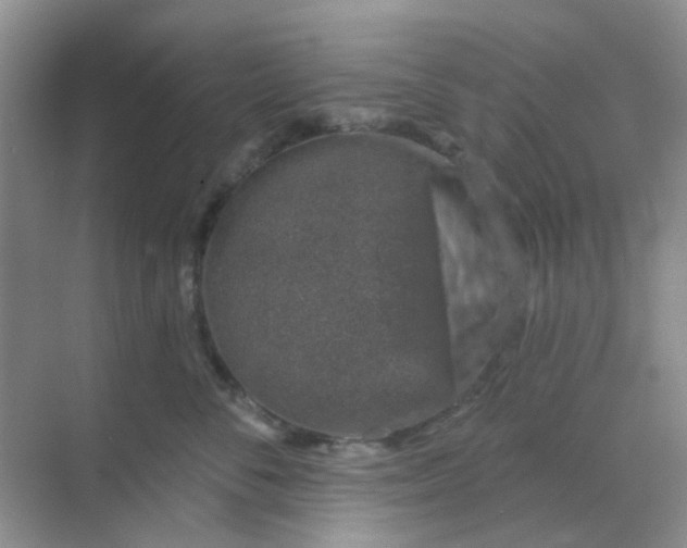 X0000068890716200605192135