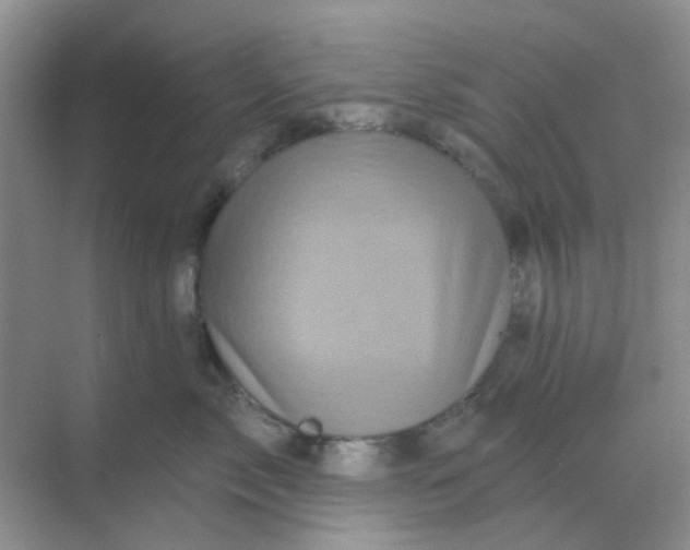 X0000068890717200605192135