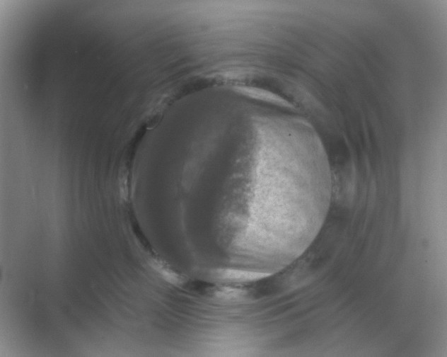 X0000068890718200605192135