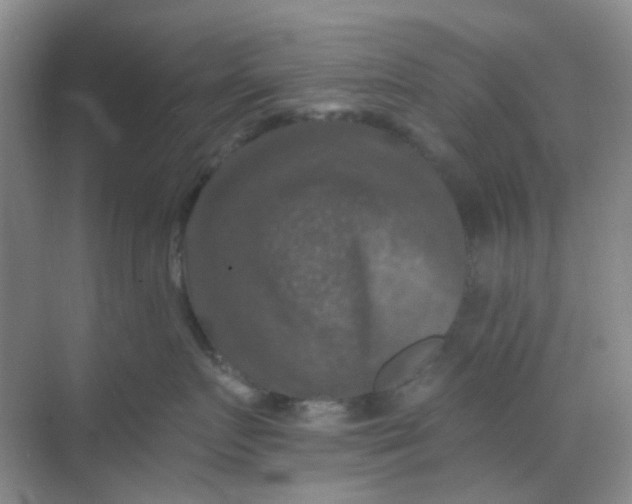 X0000068890719200605192135