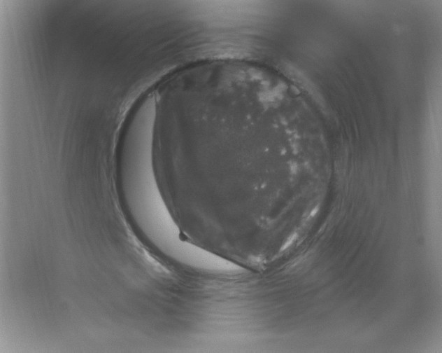 X0000068890721200605192134