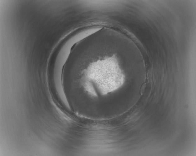 X0000068890722200605192134