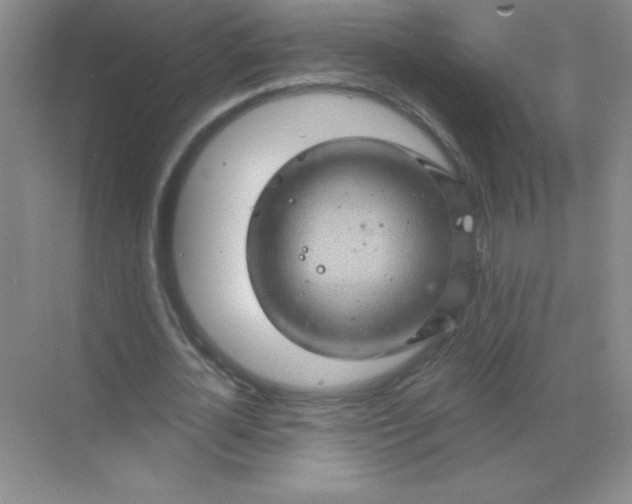 X0000068890724200605192134