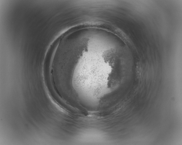 X0000068890726200605192134