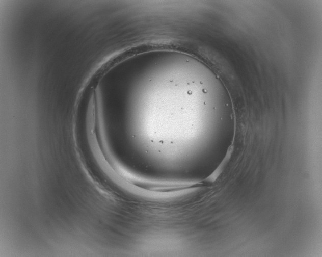 X0000068890728200605192134