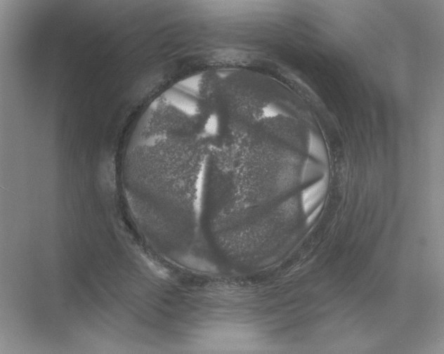 X0000068890729200605192134