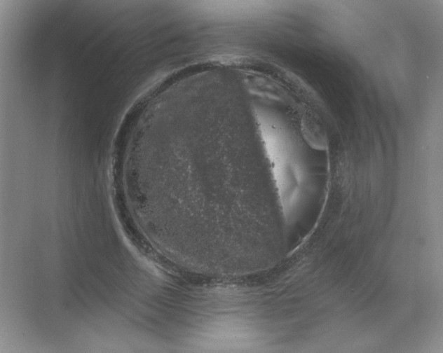 X0000068890730200605192134