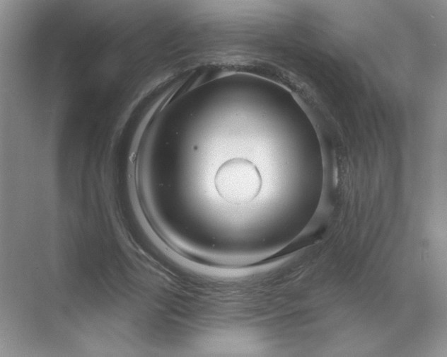 X0000068890731200605192134