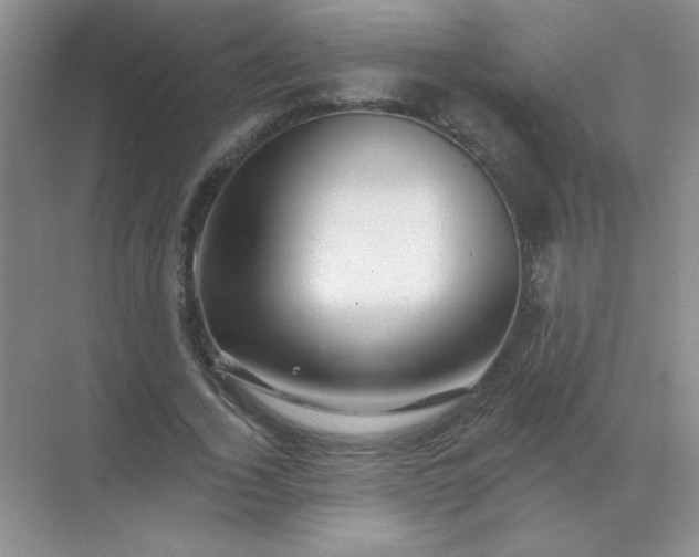 X0000068890732200605192134