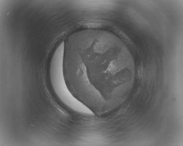 X0000068890733200605192134