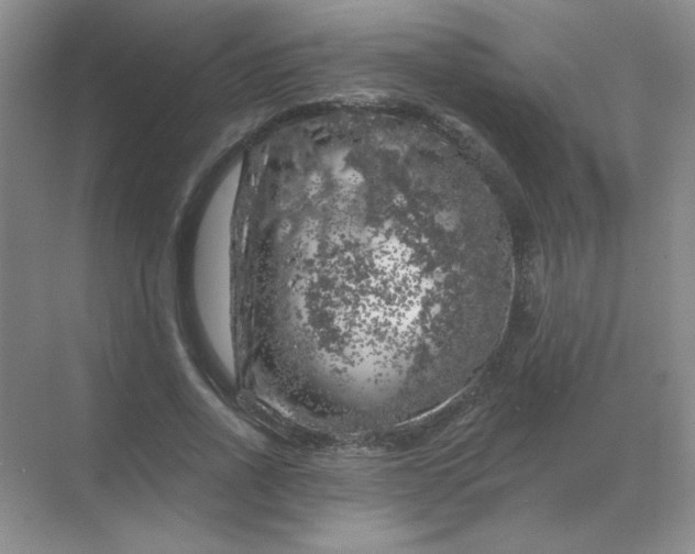 X0000068890734200605192134