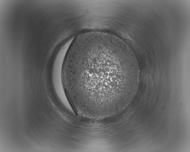 X0000068890735200605192134