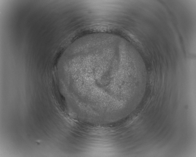 X0000068890737200605192134