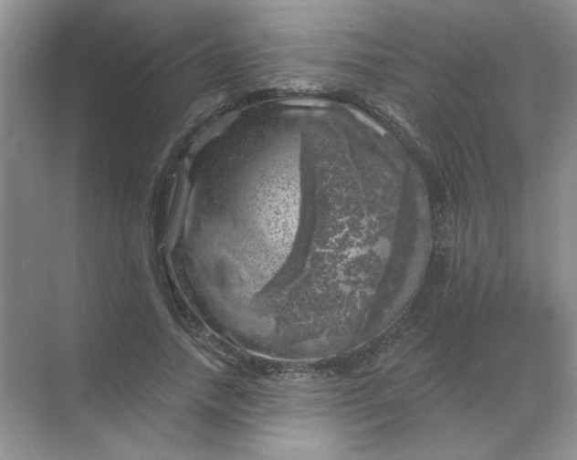 X0000068890738200605192134