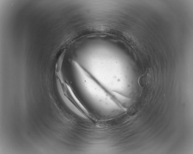 X0000068890739200605192134