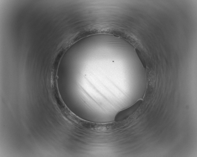 X0000068890740200605192134