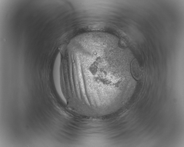 X0000068890741200605192134