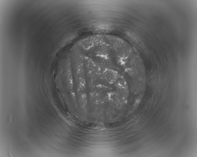 X0000068890742200605192134