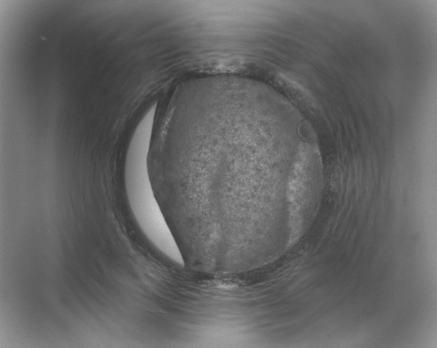 X0000068890743200605192134