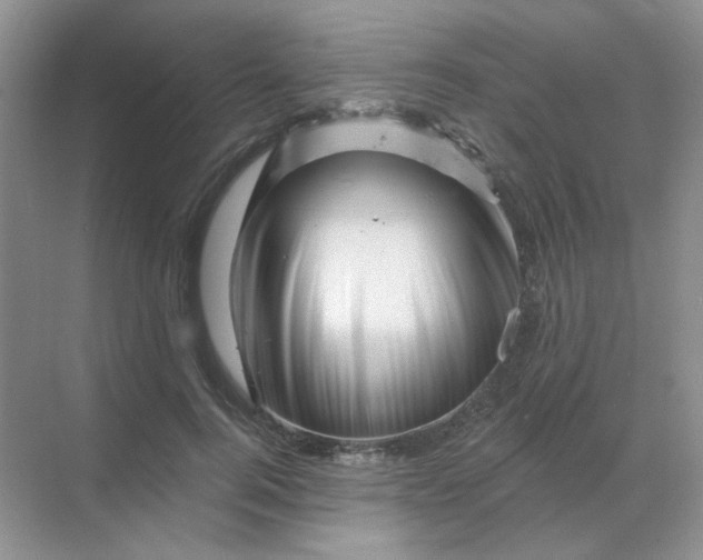 X0000068890744200605192134