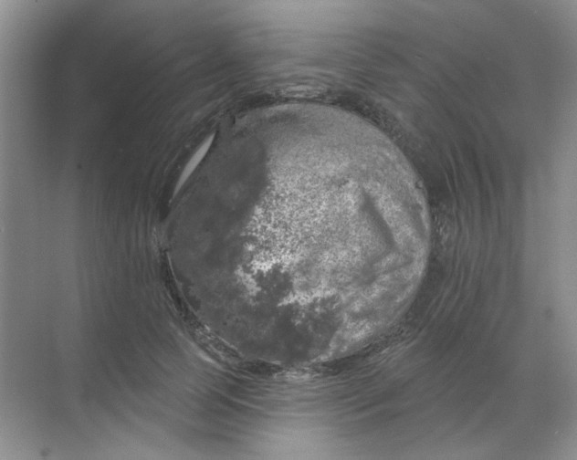 X0000068890745200605192134