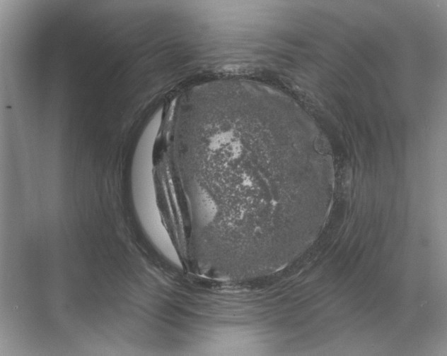 X0000068890746200605192134