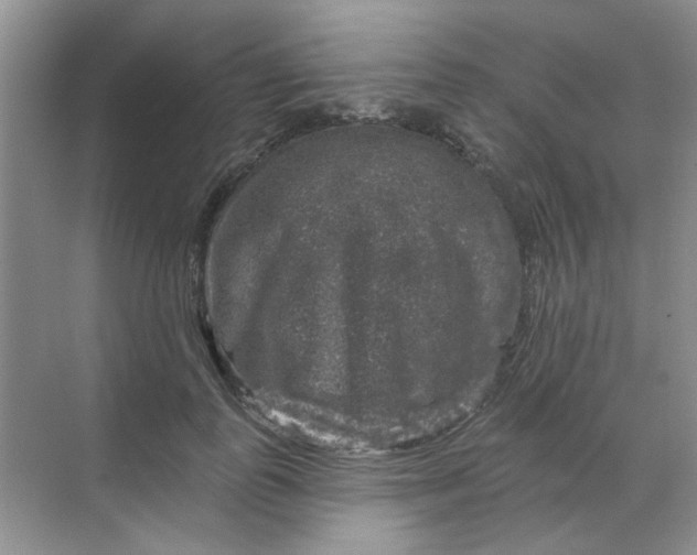 X0000068890747200605192134