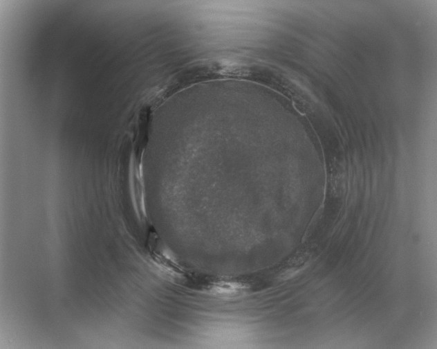 X0000068890748200605192134