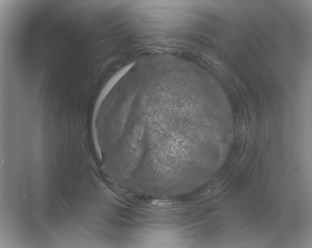 X0000068890749200605192134