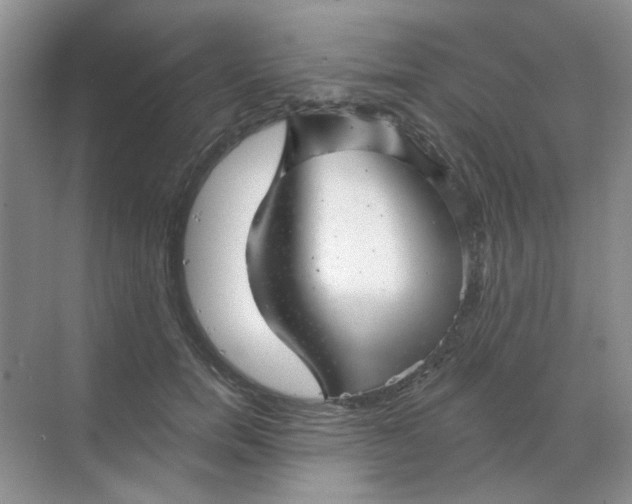 X0000068890750200605192134