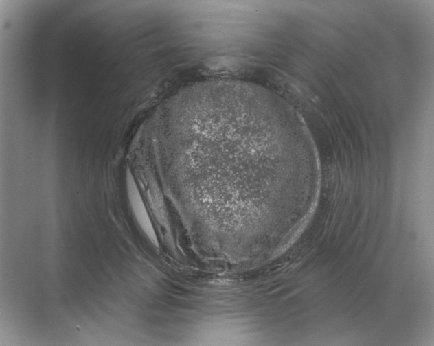 X0000068890751200605192135