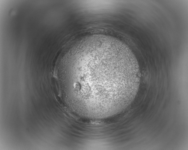 X0000068890753200605192135