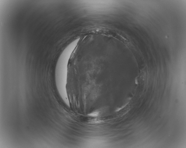 X0000068890754200605192135