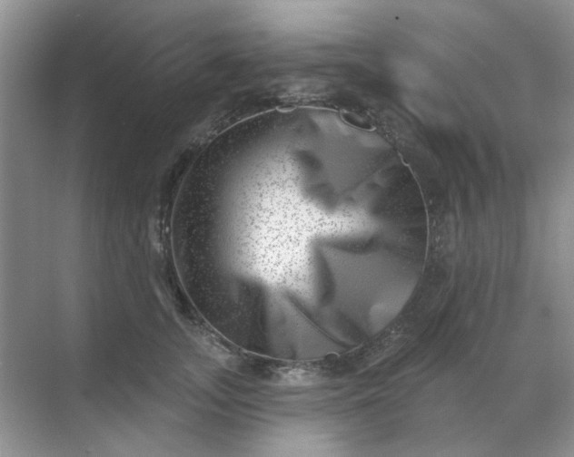 X0000068890755200605192135