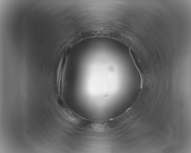 X0000068890756200605192135